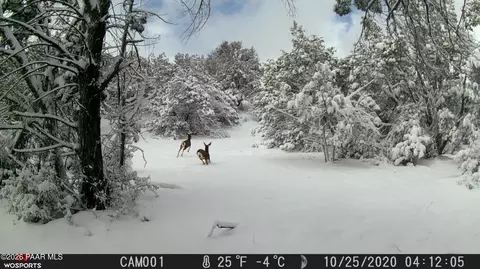 918 Wolf Rd, Ash Fork, AZ 86320 photo 11