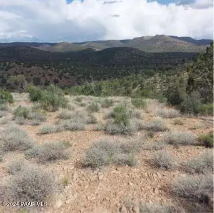 37400 N Big View Trl, Ash Fork, AZ 86320 photo 9
