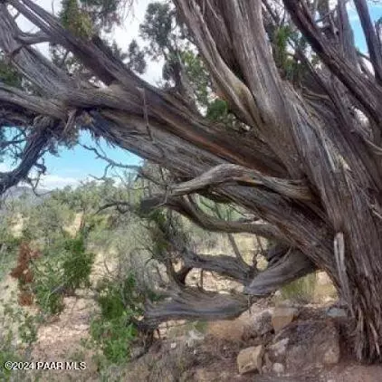 37400 N Big View Trl, Ash Fork, AZ 86320 photo 4