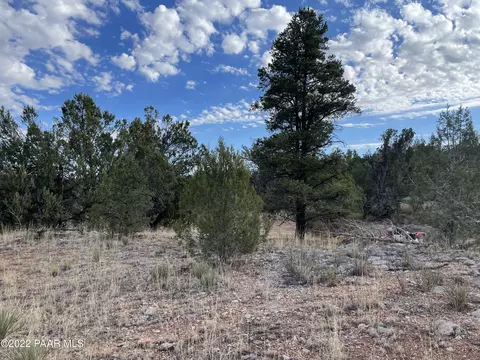 54663 N Forest Grove Way, Seligman, AZ 86337
