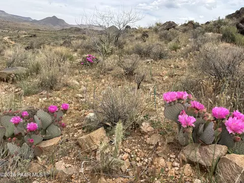 254-24 002 Mica, Kingman, AZ 86401