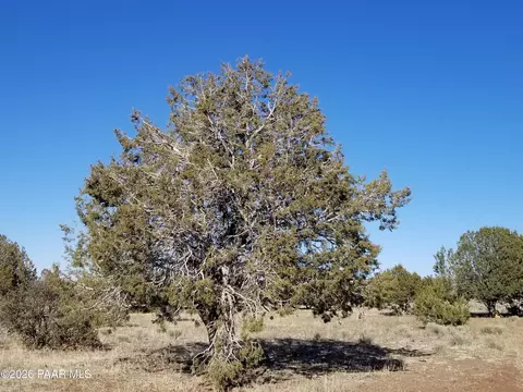 214 NE Qtr W Rut, Ash Fork, AZ 86320