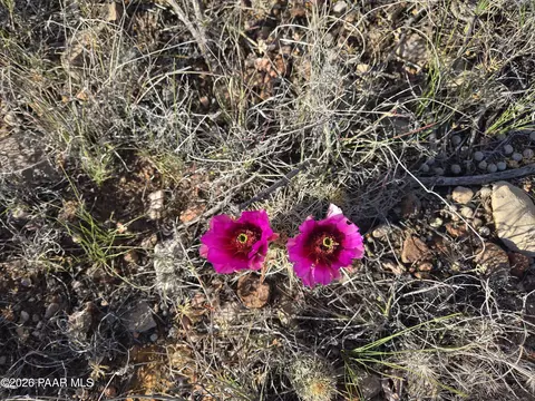 450 Arizona Rd, Ash Fork, AZ 86320 photo 17