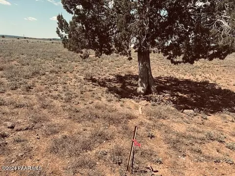 28581 W Hondo Rd, Seligman, AZ 86337