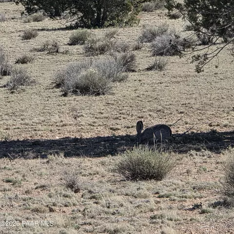 lot8 B Tanner Rd, Ash Fork, AZ 86320 photo 9