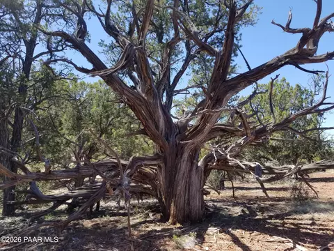 444 S 445 S Arizona Rd, Ash Fork, AZ 86320 photo 10