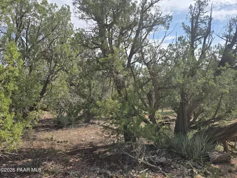 259 S Cathedral Valley Rd, Ash Fork, AZ 86320 photo 11