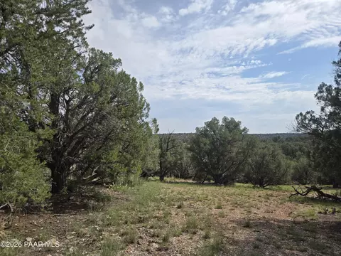 259 S Cathedral Valley Rd, Ash Fork, AZ 86320 photo 13