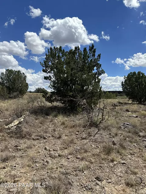 0 N Mare Dr, Paulden, AZ 86334 photo 9