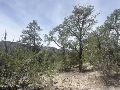 1510 Off Of Lion Canyon Dr, Seligman, AZ 86337