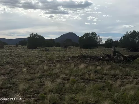 59 NE Rocky Rabbit Rd, Ash Fork, AZ 86320 photo 4