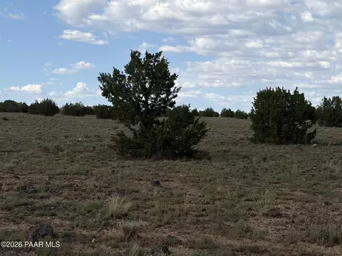 59 SW Rocky Rabbit Rd, Ash Fork, AZ 86320 photo 4