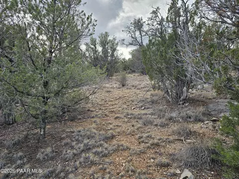 55644 N Potrero Pkwy, Seligman, AZ 86337