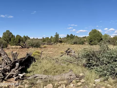 494 SE N Nirvana Way, Ash Fork, AZ 86320 photo 2