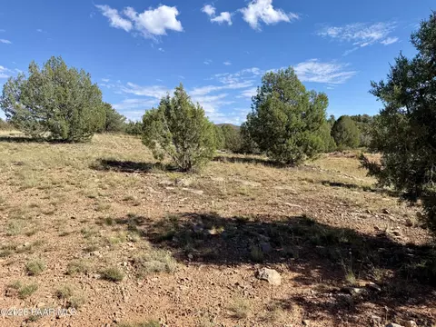 494 SE N Nirvana Way, Ash Fork, AZ 86320 photo 11
