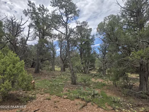 268 S Scorpion Rd, Ash Fork, AZ 86320 photo 4