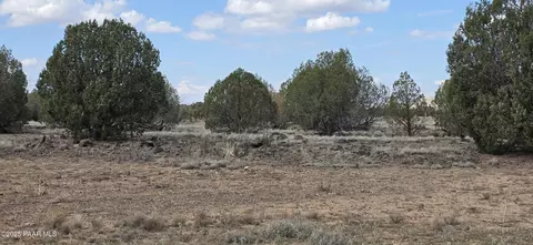 64 Antelope Run, Ash Fork, AZ 86320 photo 11