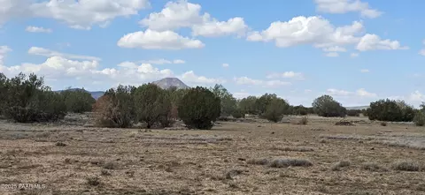 64 Antelope Run, Ash Fork, AZ 86320 photo 9