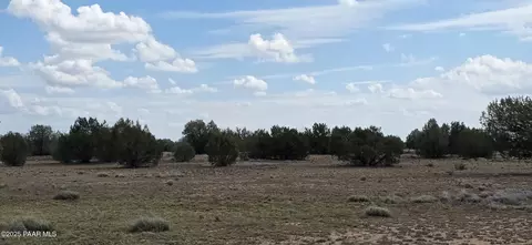 64 Antelope Run, Ash Fork, AZ 86320 photo 13