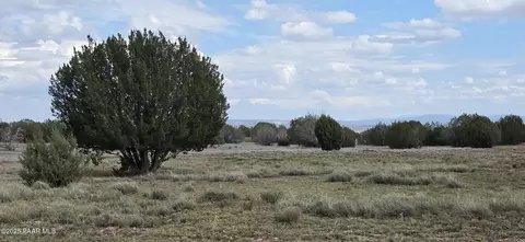 64 Antelope Run, Ash Fork, AZ 86320 photo 14