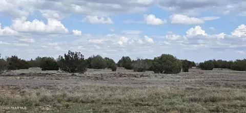 64 Antelope Run, Ash Fork, AZ 86320 photo 15