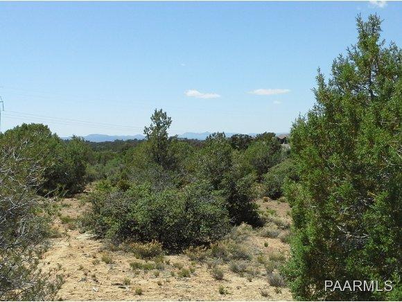  5465 W Cameo Cir, Prescott, AZ 86305 photo 4