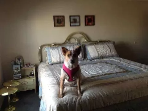 13372 E 53 Dr, Yuma, AZ 85367 photo 6