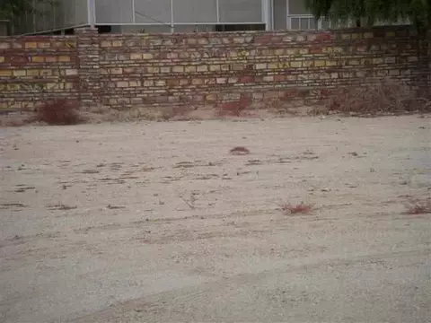 14684 E 50 St, Yuma, AZ 85367 photo 6