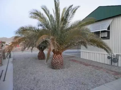 13769 51 St, Yuma, AZ 85367 photo 11
