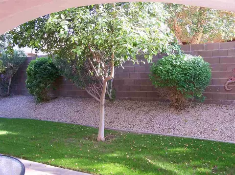 10625 E 35 St, Yuma, AZ 85365 photo 14