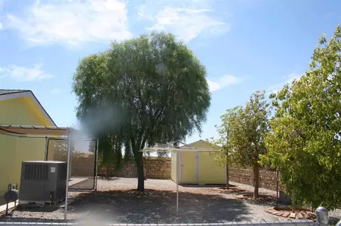 12534 E 45 Dr, Yuma, AZ 85365 photo 14