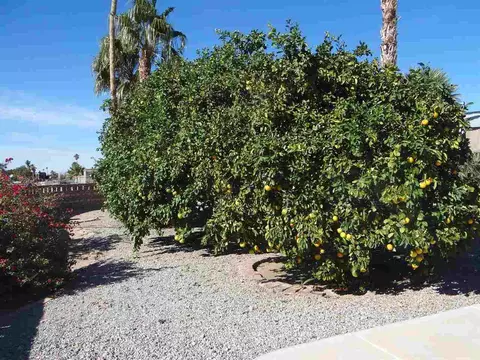 12734 E 34 St, Yuma, AZ 85367 photo 19