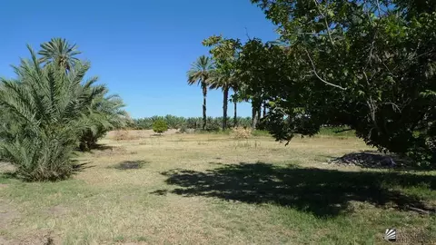 1215 W Collins Rd, Winterhaven, CA 92283 photo 19