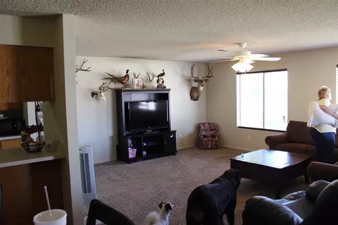 11314 E 26 St, Yuma, AZ 85367 photo 19