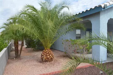 5403 E 33 Pl, Yuma, AZ 85365 photo 14