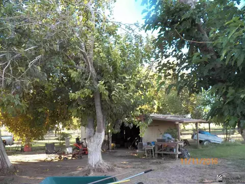 3345 W County 18 St, Somerton, AZ 85350 photo 8