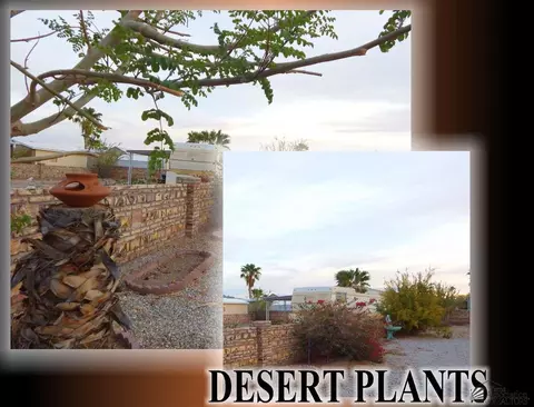 13391 E 50 Dr, Yuma, AZ 85367 photo 5