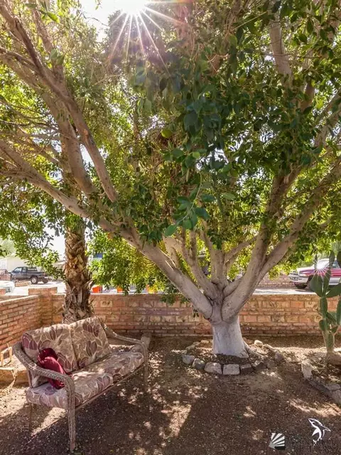 12368 E 39 Pl, Yuma, AZ 85367 photo 4