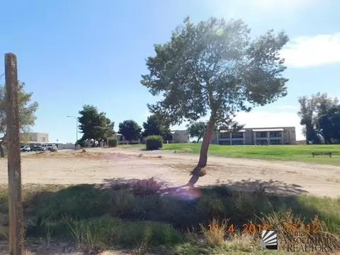 261 N Marshall Loop Rd, Somerton, AZ 85350 photo 17