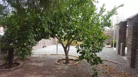 12779 E 35 Pl, Yuma, AZ 85367 photo 10