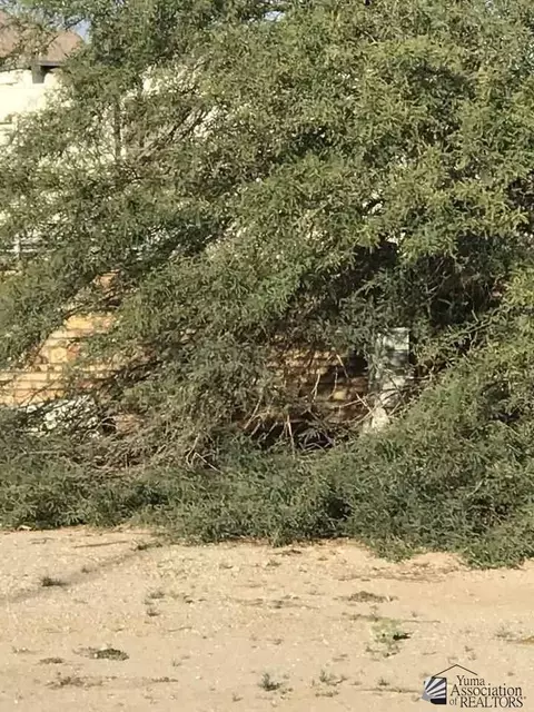 12840 E Tanja Dr, Yuma, AZ 85367 photo 7