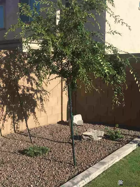 6556 E 35 Pl, Yuma, AZ 85365 photo 16