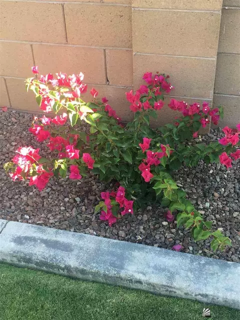 6556 E 35 Pl, Yuma, AZ 85365 photo 17