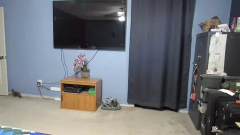 6324 E 45 St, Yuma, AZ 85367 photo 15