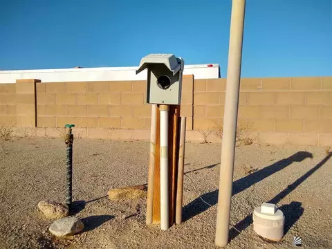 12834 E 49 Ln, Yuma, AZ 85367 photo 8