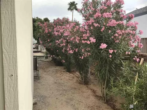 12841 E 37 Pl, Yuma, AZ 85367 photo 16
