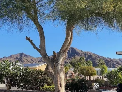 14353 E 28 Pl, Yuma, AZ 85367 photo 23