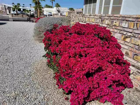 13875 E 54 St, Yuma, AZ 85367 photo 16