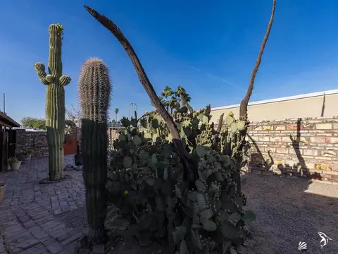 12845 E 35 Pl, Yuma, AZ 85367 photo 8