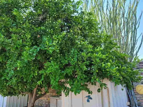 13745 E 47 St, Yuma, AZ 85367 photo 11